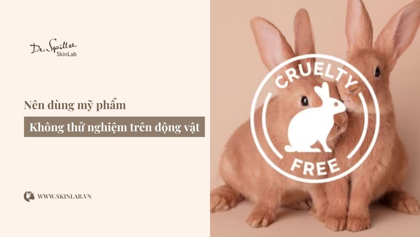 xu hướng chăm da không thử nghiệm trên động vật