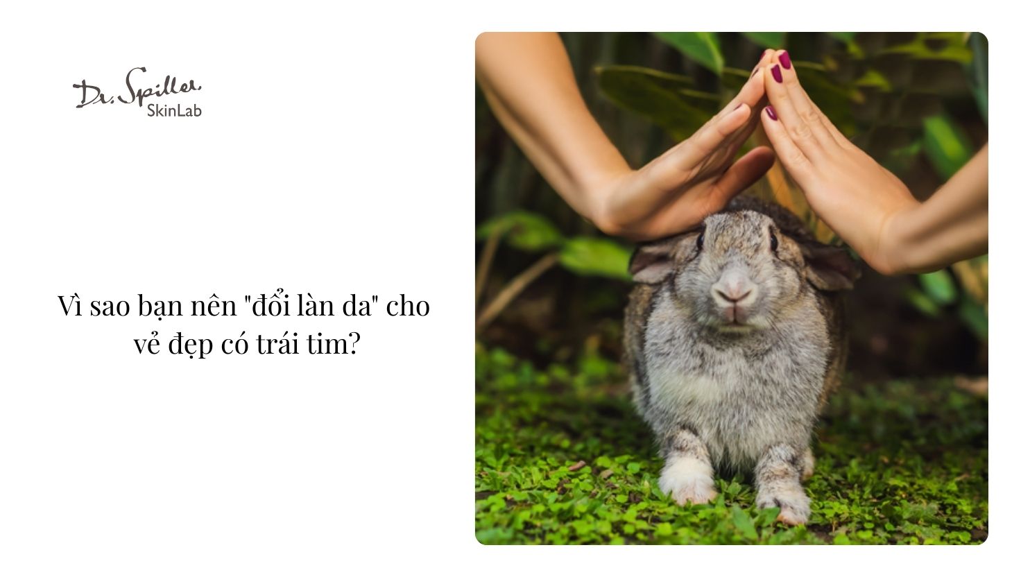 Góp phần vào một thế giới tốt đẹp hơn