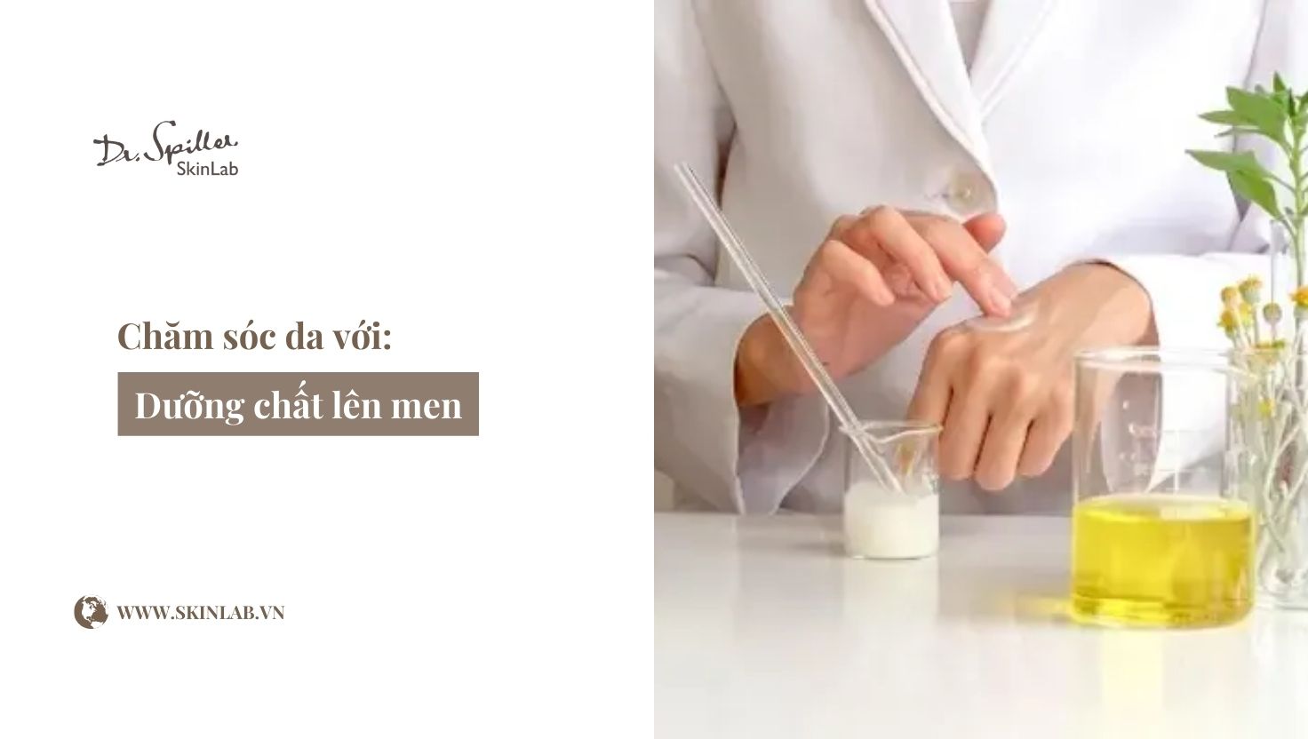 xu hướng chăm sóc với dưỡng chất lên men