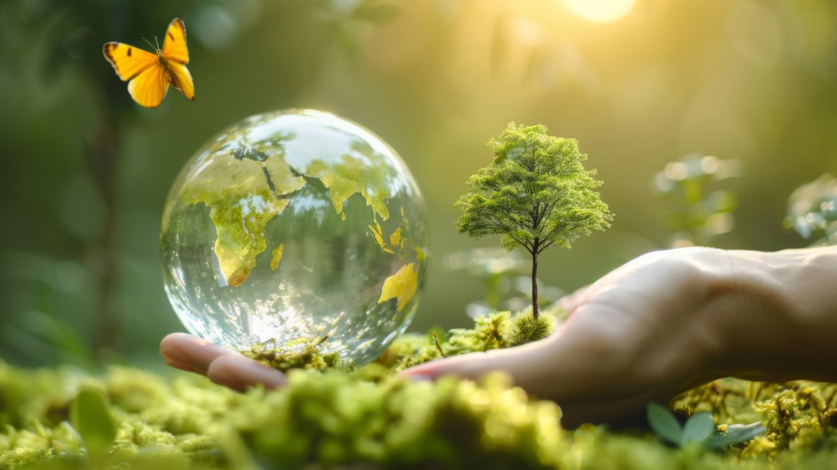 Xu hướng làm đẹp bằng thành phần tự nhiên gắn liền với ý thức bảo vệ môi trường