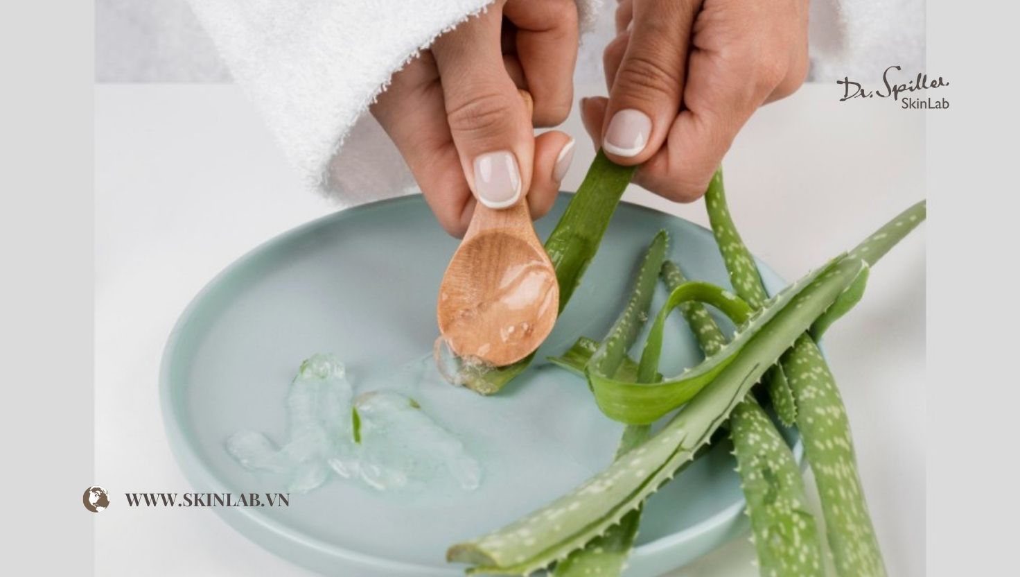 Các loại thảo mộc phổ biến dùng trong chăm sóc da