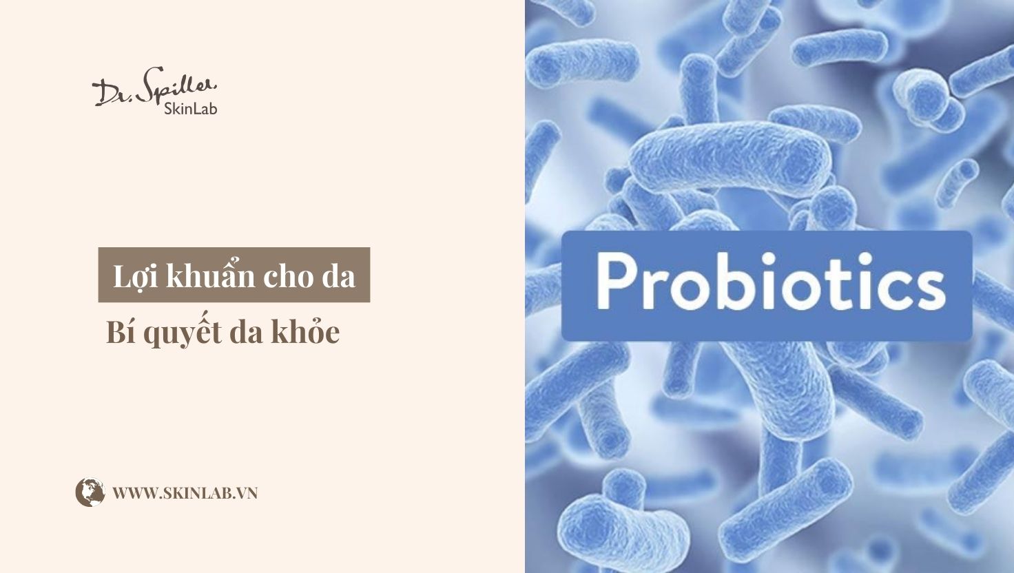 xu hướng chăm sóc da với lợi khuẩn