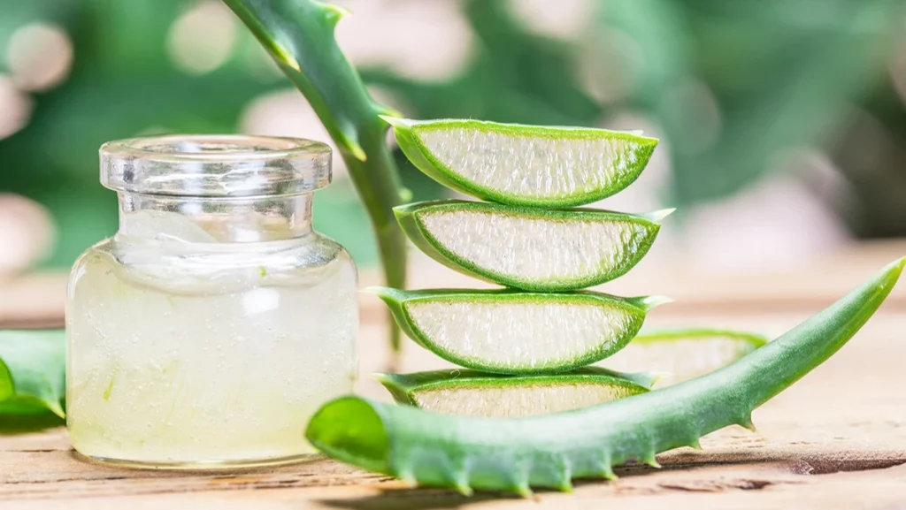 Nha đam dưỡng da mùa thu hiện là một trong những lựa chọn ưu tiên giúp duy trì làn da mềm mại, tươi trẻ