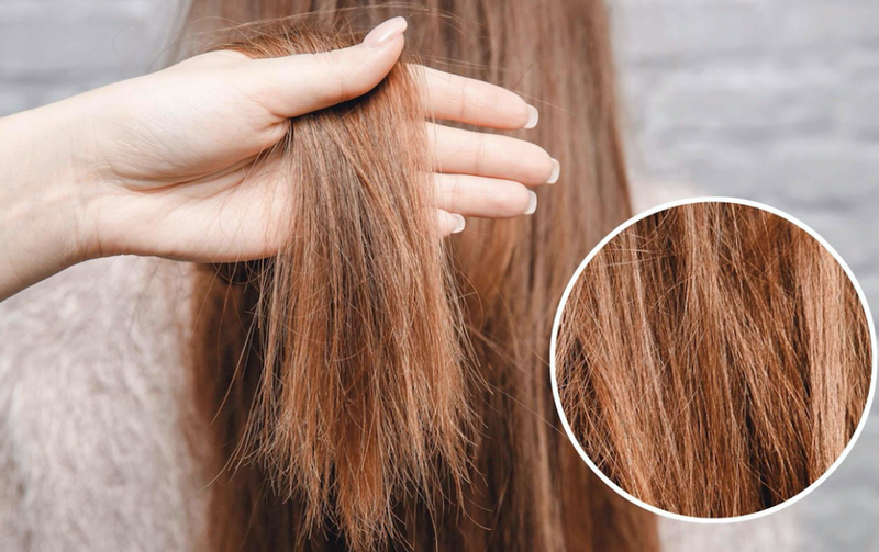 Tóc khô xơ chẻ ngọn luôn là vấn đề khiến nhiều người cảm thấy phiền lòng và mất tự tin trong giao tiếp hàng ngày