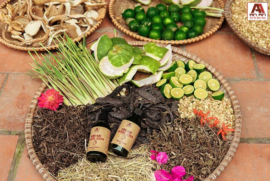 Dầu gội thảo mộc cho tóc yếu và rụng đã trở thành lựa chọn được nhiều người tin tưởng nhờ nguyên liệu tự nhiên