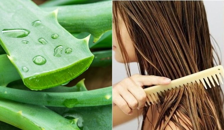 Nha đam từ lâu đã được biết đến như một loại nguyên liệu tự nhiên chứa nhiều dưỡng chất có ích cho da và tóc