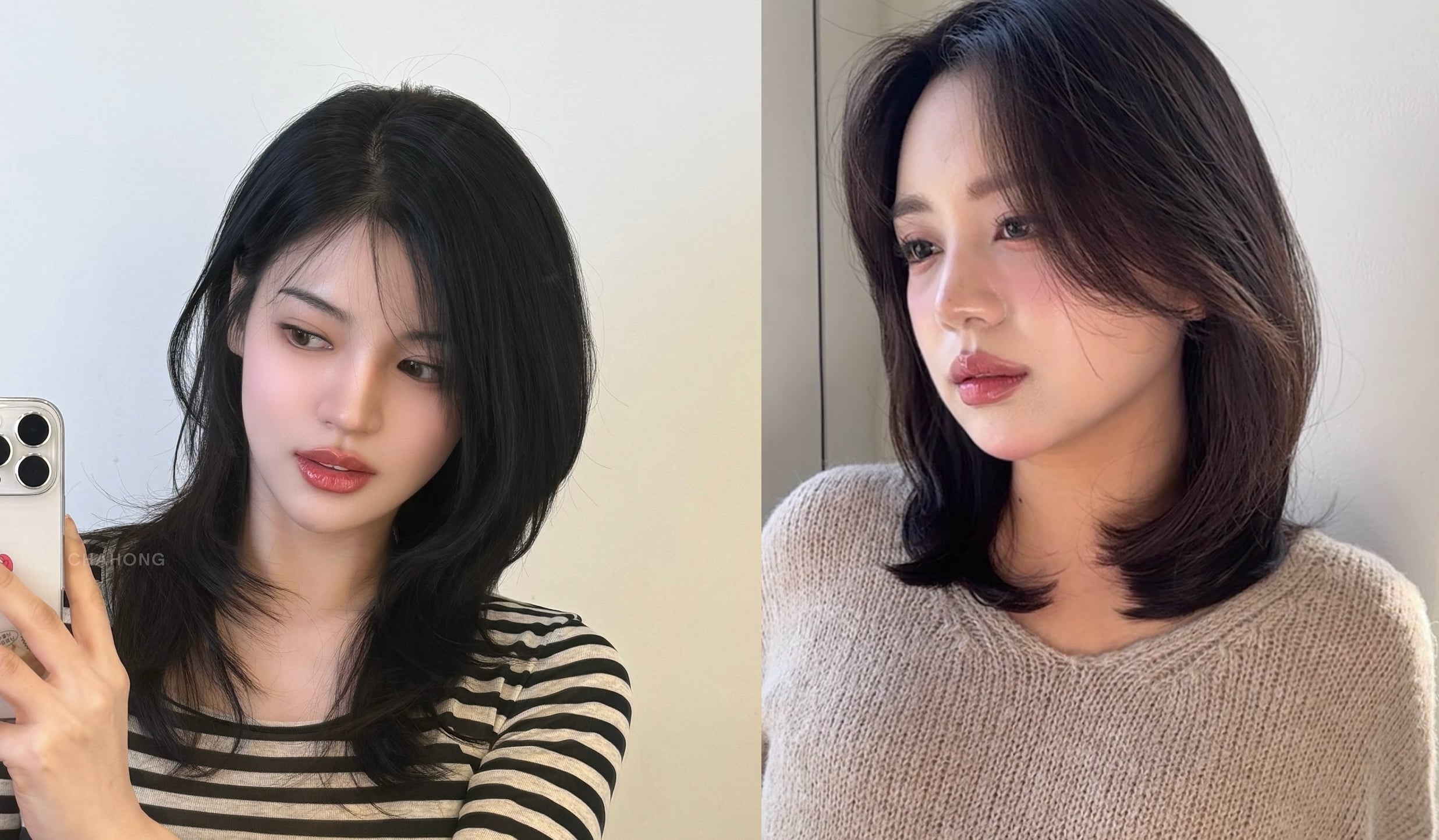 Bài viết này sẽ giúp bạn cập nhật những kiến thức cần thiết nhất để chăm sóc tóc năm 2026 trở nên hiệu quả và bền lâu.