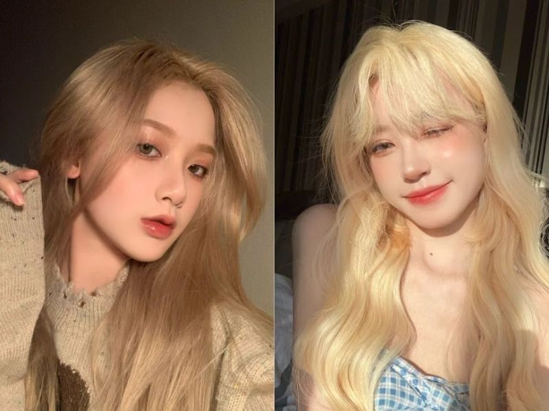 Xác định đúng xu hướng chăm sóc tóc sau nhuộm 2026 giúp bạn duy trì màu tóc bền đẹp và trái lại hạn chế sự khô xơ, hư tổn