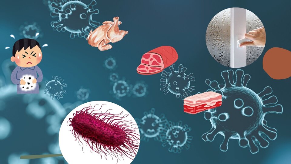 Vi khuẩn sinh sôi nhanh chóng trong môi trường ẩm ướt có thể khiến các bệnh về da, hô hấp và các vấn đề sức khỏe khác tăng cao